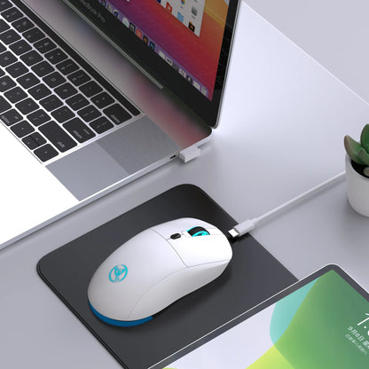 Genopladelig trådløs mus 2.4G RGB – 3600 DPI, Ergonomisk Design, USB-modtager, Type-C opladning
