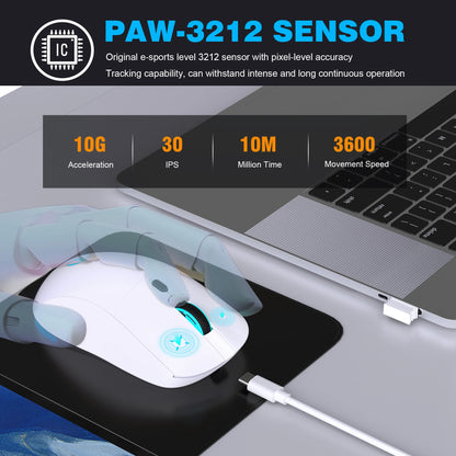 Genopladelig trådløs mus 2.4G RGB – 3600 DPI, Ergonomisk Design, USB-modtager, Type-C opladning
